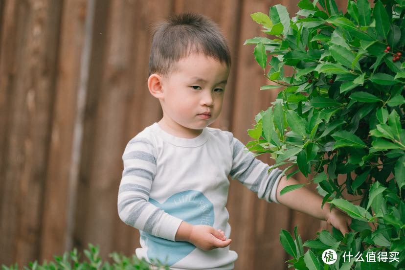 索尼FE100-400mm f/4.5-5.6 GM | 最全能长焦