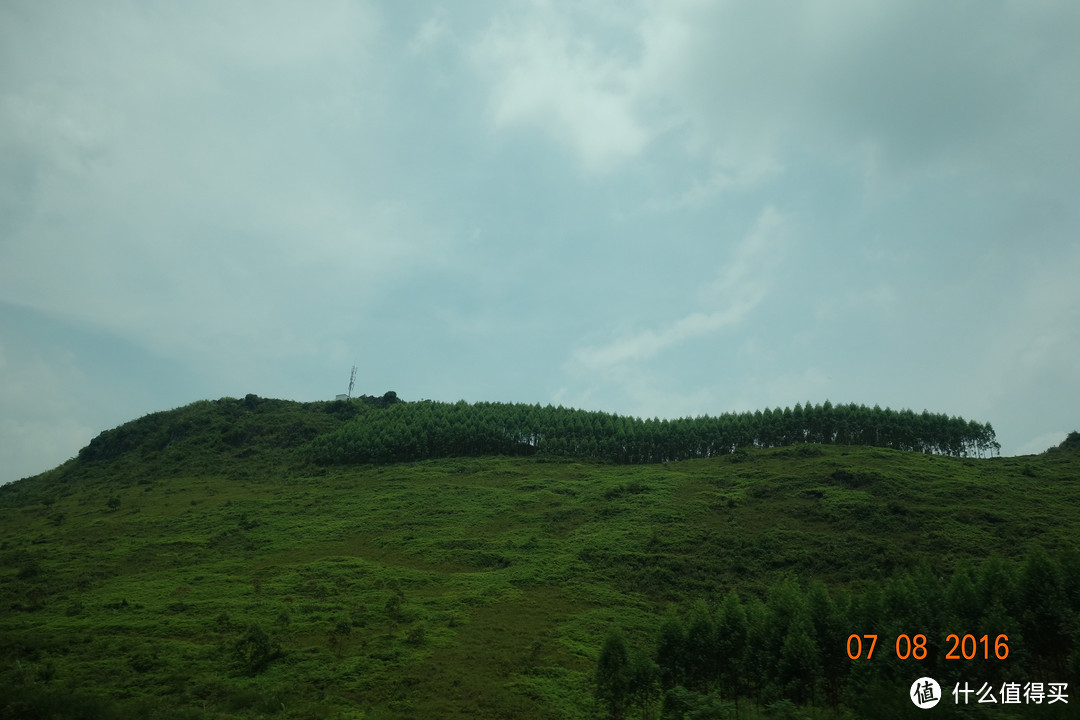 基本上每座山头都有一片林