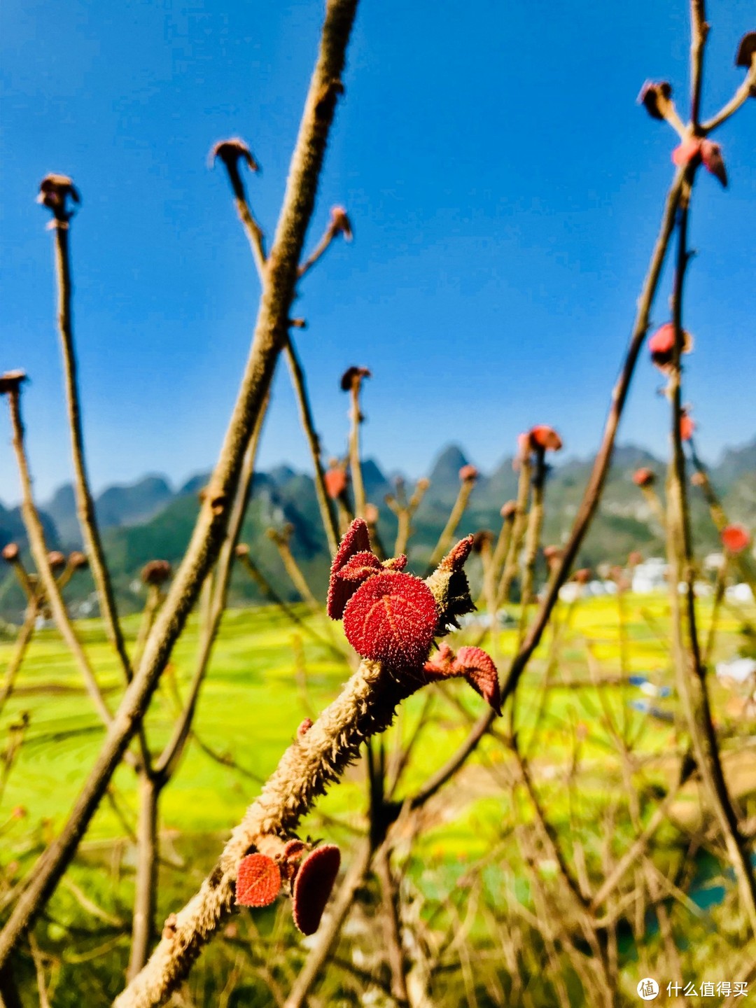 云窍旁通吞日月，烟萝倒拔挂虹霓 ——黔行于崇山峻岭间