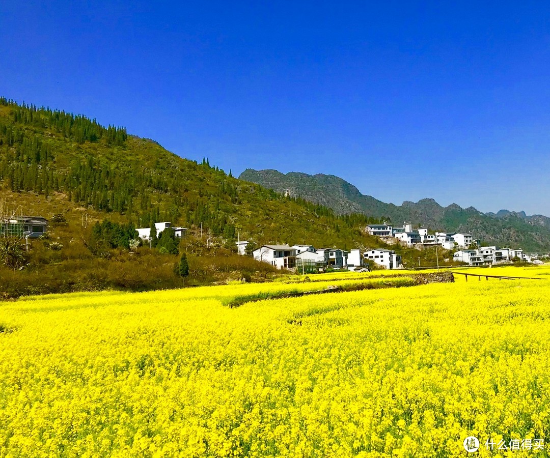 云窍旁通吞日月，烟萝倒拔挂虹霓 ——黔行于崇山峻岭间