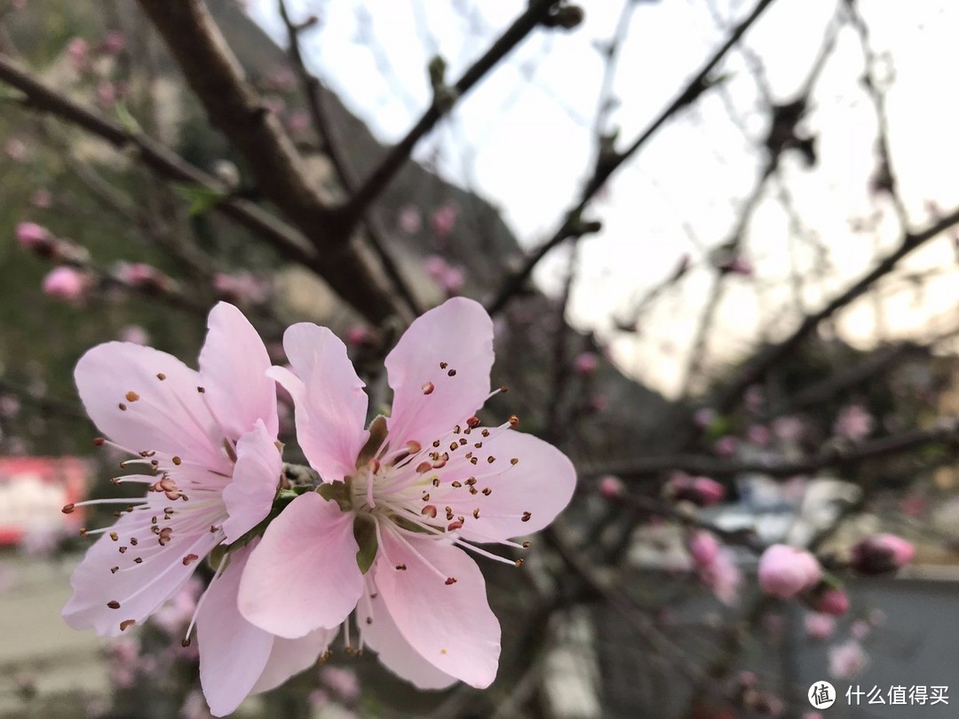 云窍旁通吞日月，烟萝倒拔挂虹霓 ——黔行于崇山峻岭间