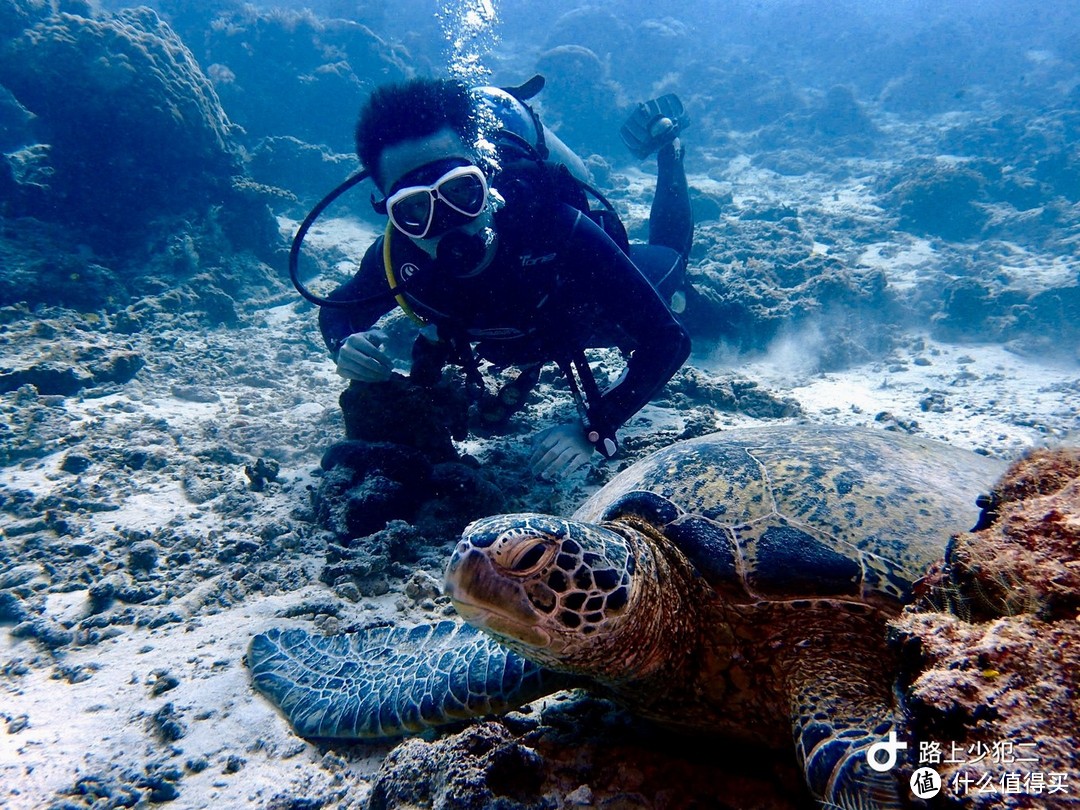 蔚蓝之下，向海而生——探访海底的仙本那