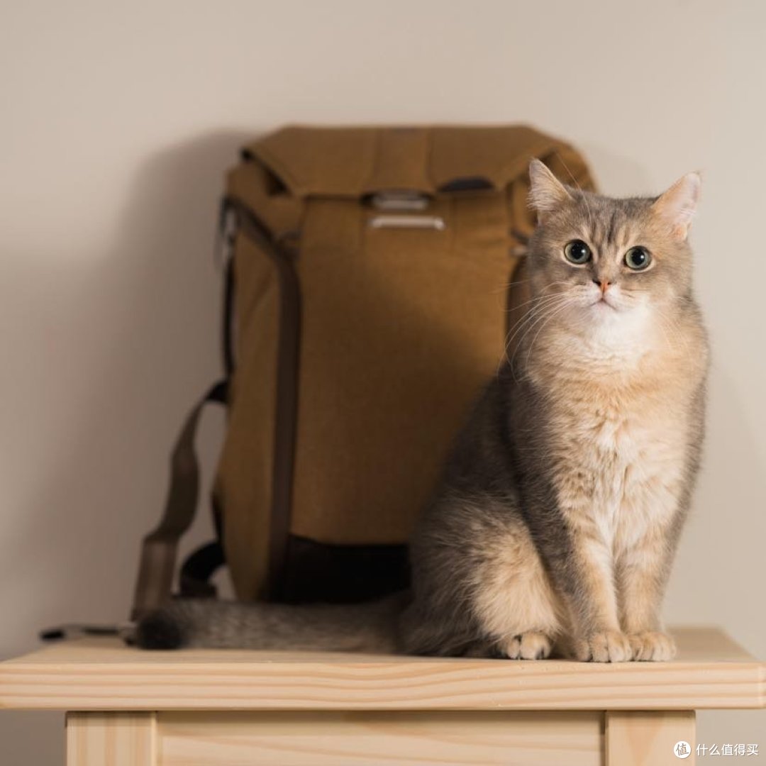 索尼FE 85mm f/1.4 GM|85GM 镜头下的小姐姐们