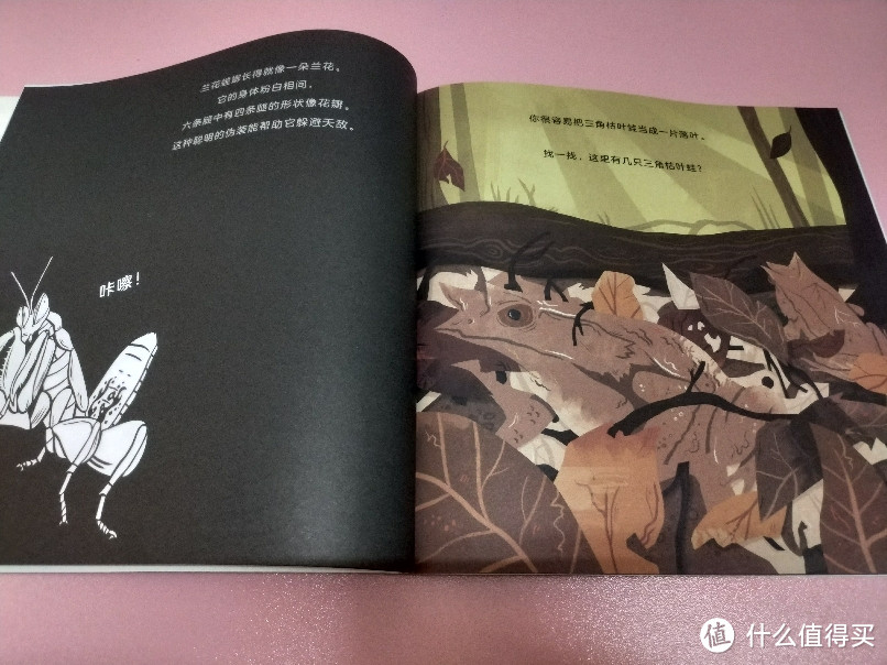 科普绘本推荐:《动物伪装术》——让宝宝们对动物多一分了解!
