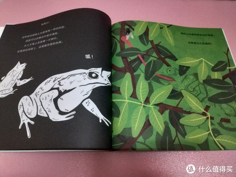 科普绘本推荐:《动物伪装术》——让宝宝们对动物多一分了解!
