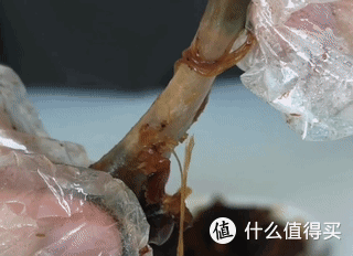 小土实拍