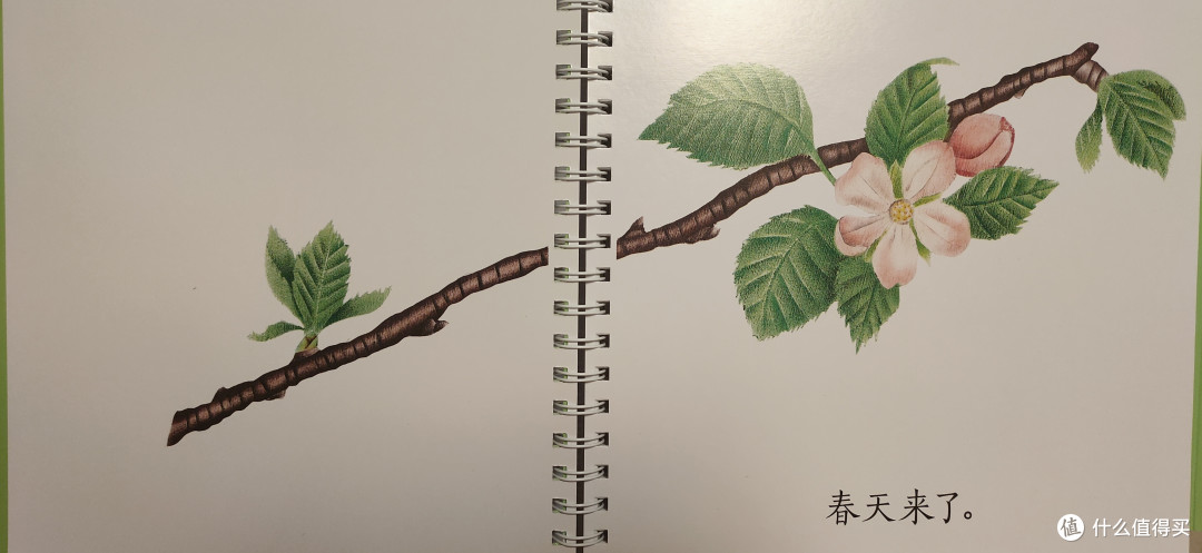 《纸狐狸绘本馆·生命的四季》测评