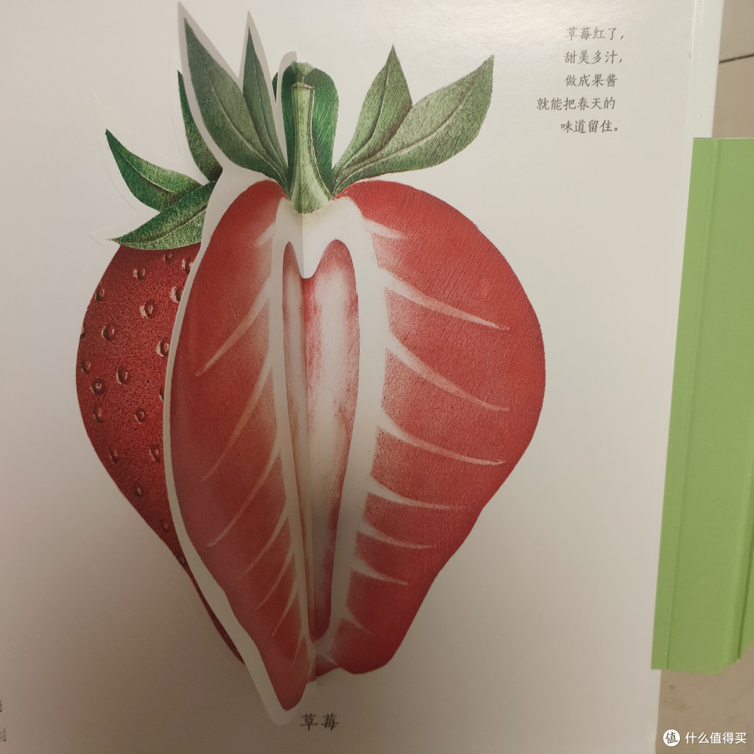 《纸狐狸绘本馆·生命的四季》测评
