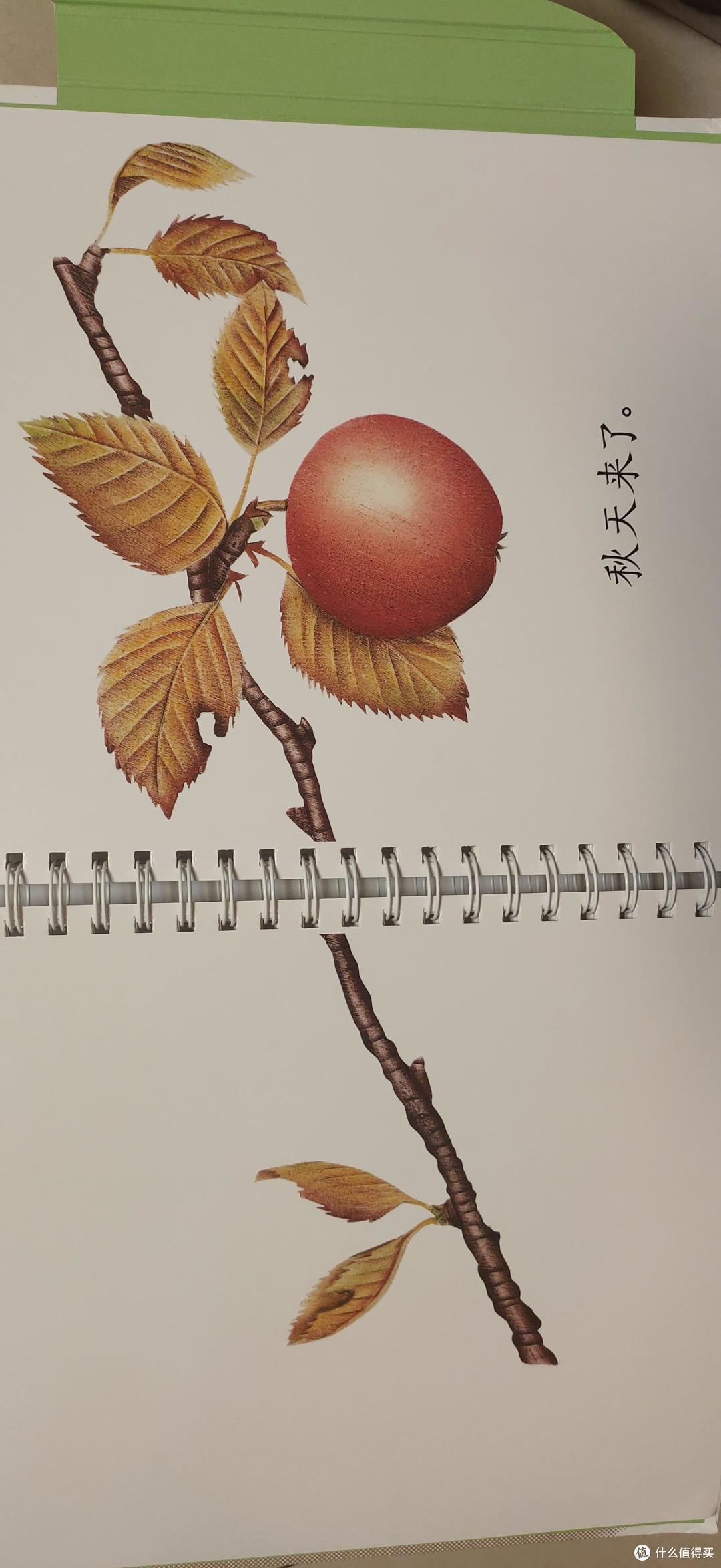 《纸狐狸绘本馆·生命的四季》测评