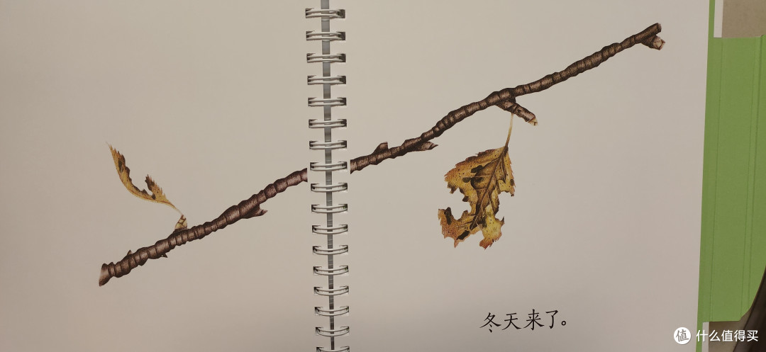 欣赏完秋天的果实，冬天无情的来了~~