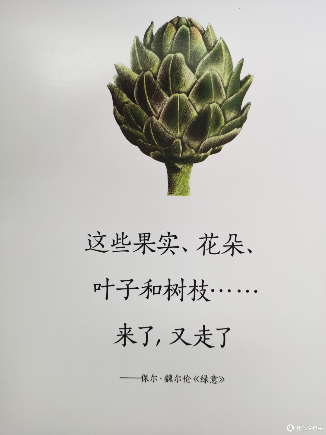 绿意盎然啊