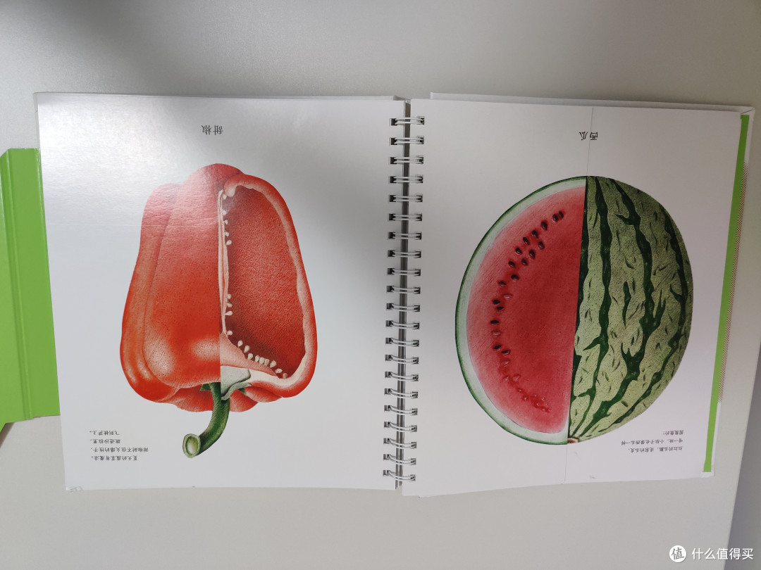 我家自然系绘本的后浪：《纸狐狸绘本馆 生命的四季》