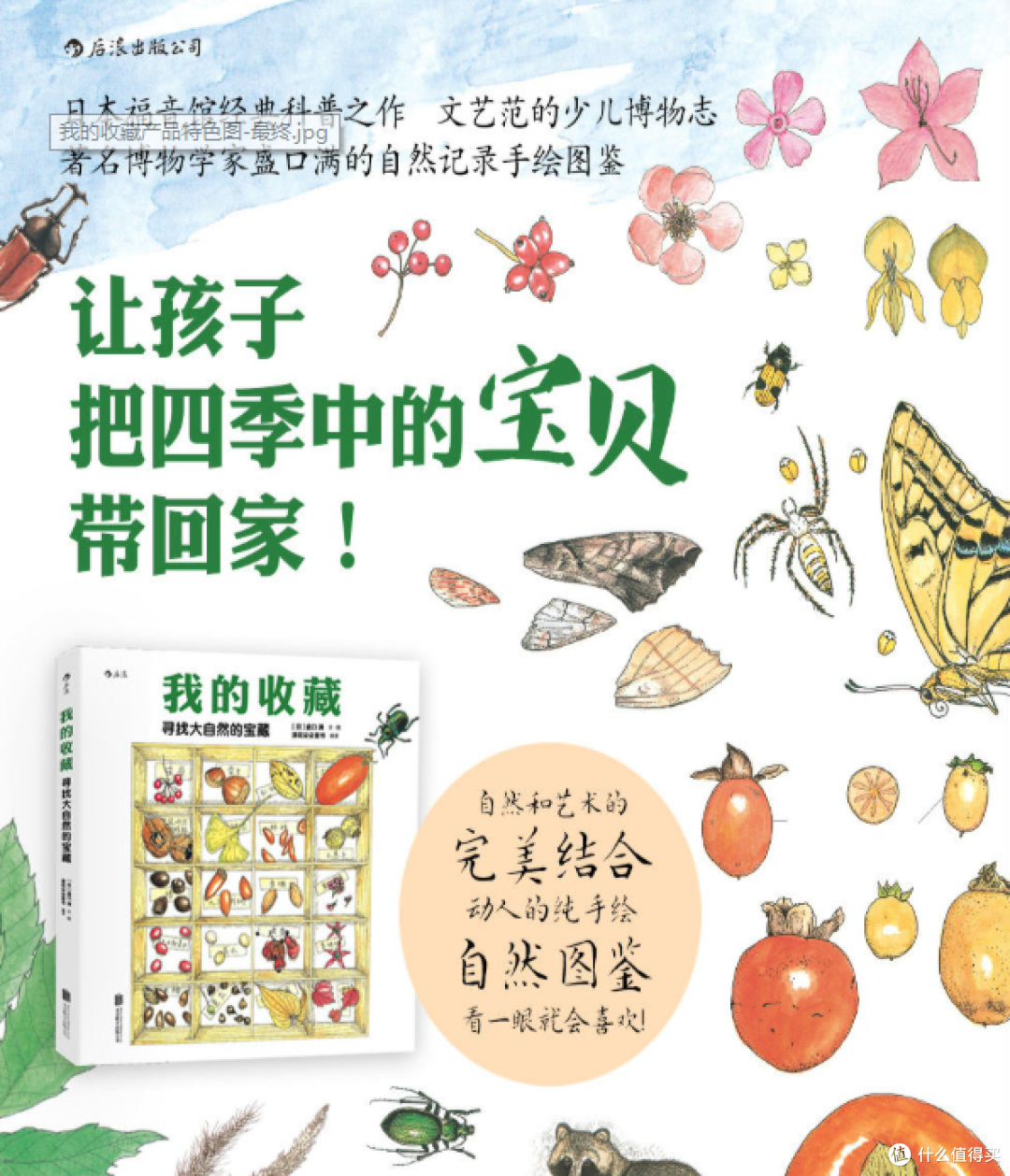 我家自然系绘本的后浪：《纸狐狸绘本馆 生命的四季》