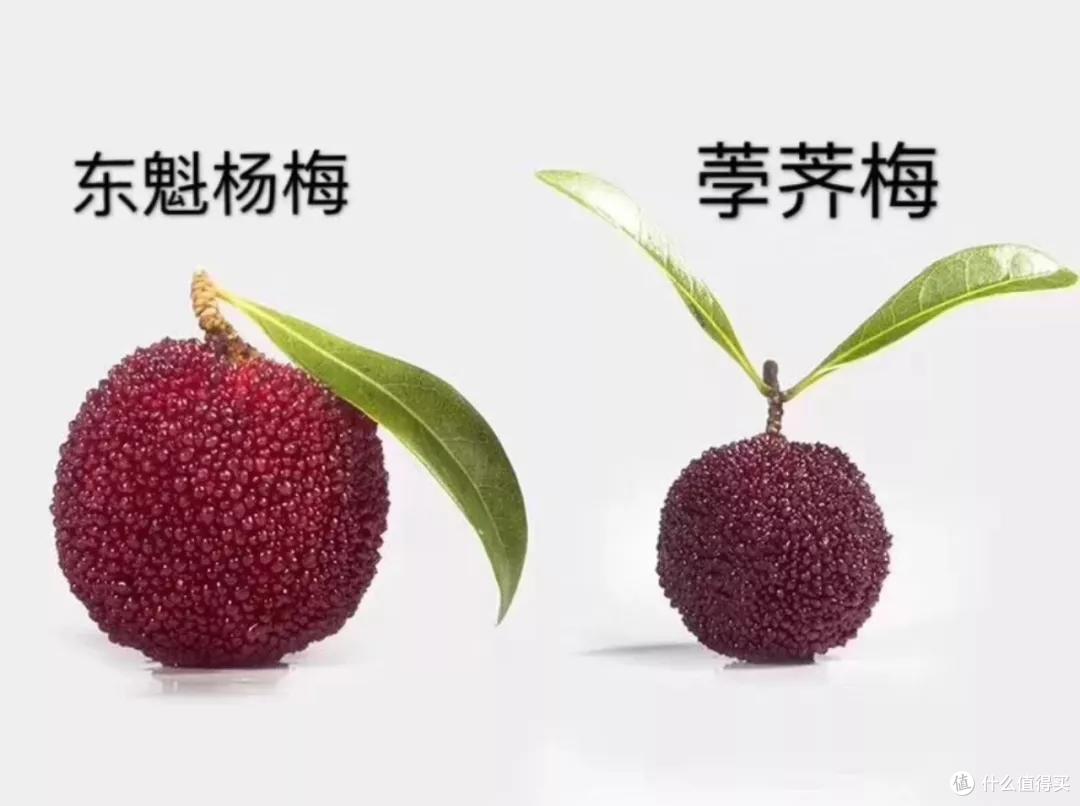 在浙江混得好不好，就看这两天有没有人给你送杨梅啦