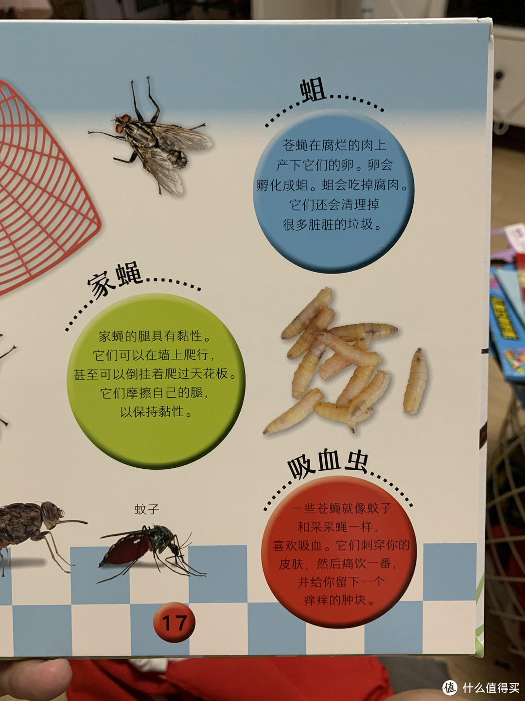 图书馆猿の2020读书计划31:《DK儿童认知百科书》