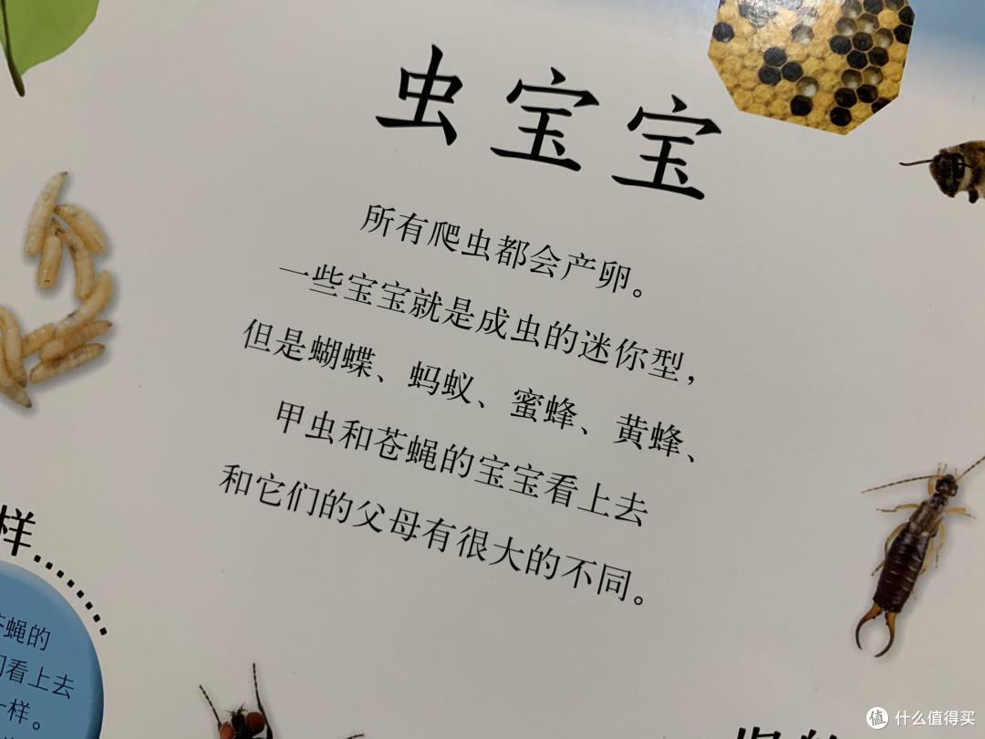 图书馆猿の2020读书计划31:《DK儿童认知百科书》