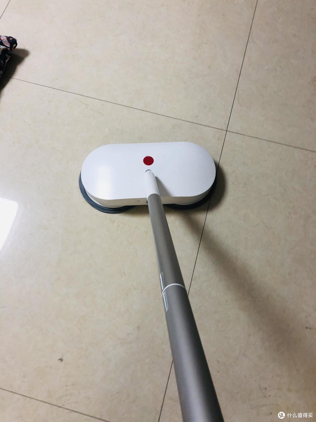 请忽视污渍,待会他就没了~