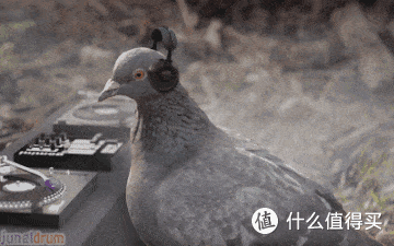 选择困难症!余音REECHO春纷、夏至耳机小评