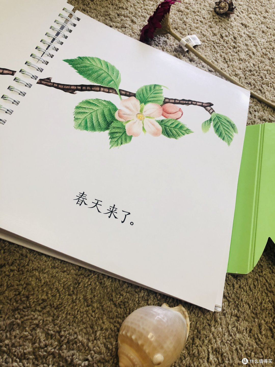 陪你走过漫长岁月,带你领略生命四季----纸狐狸绘本馆 生命的四季