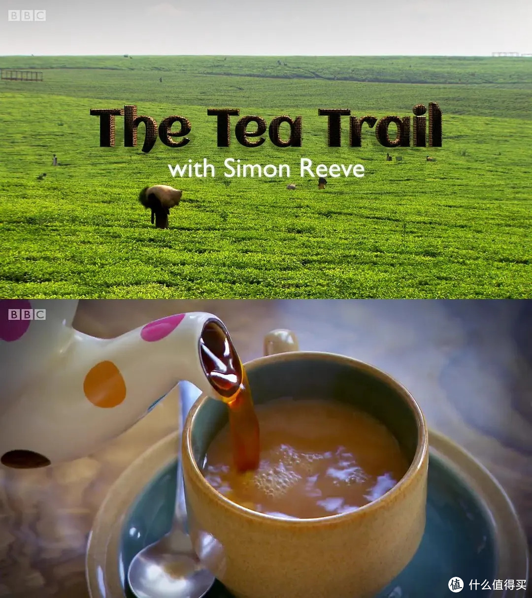 我在B站学喝茶，茶文化纪录片推荐！