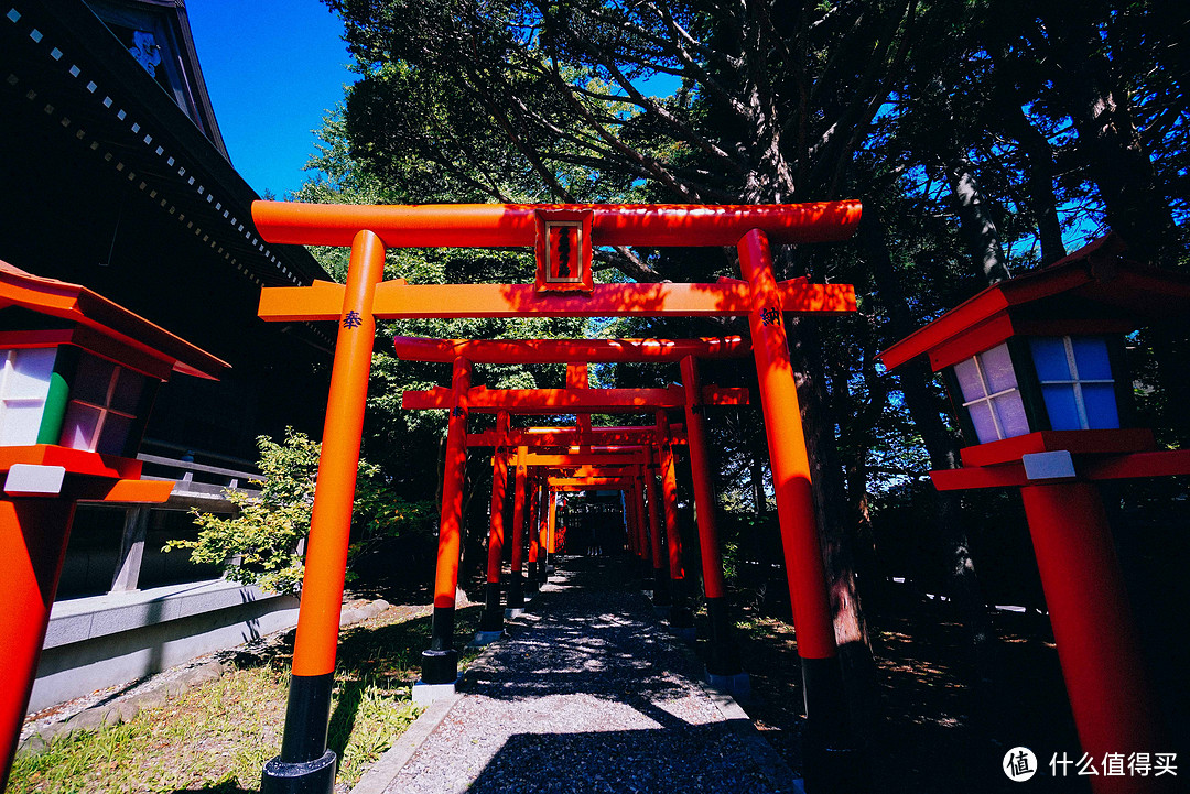 北海道攻略哪家强？函馆旅行姿势请赶紧get