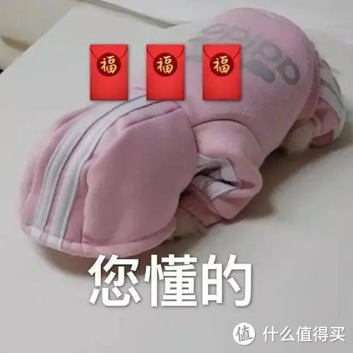 航空界的健身年卡,东航随心飞该买嘛?附长三角航线规划懒人包