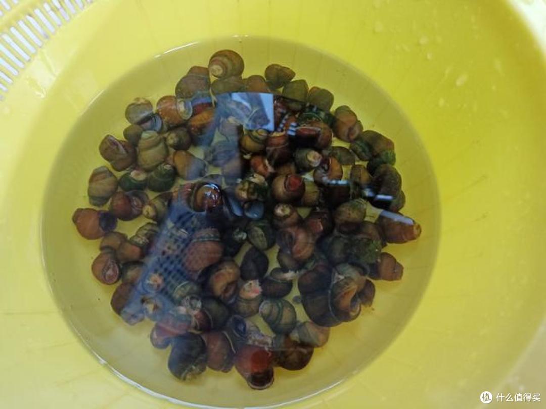 精致1人食,悄悄走红朋友圈,网友:人到中年,生活要有品质