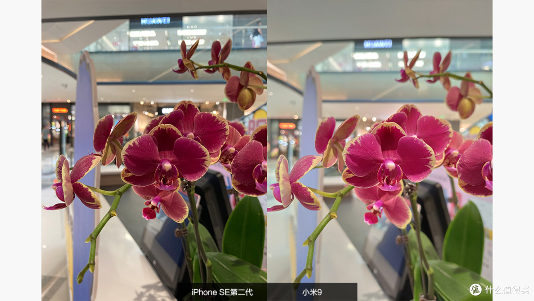 低门槛拥抱苹果生态 iPhone SE第二代体验报告