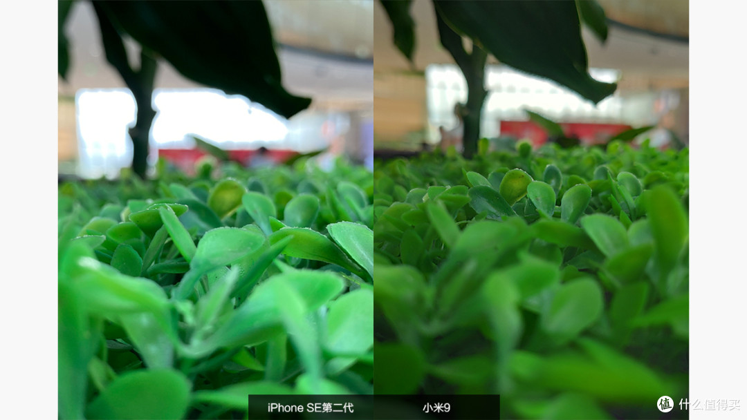 低门槛拥抱苹果生态 iPhone SE第二代体验报告