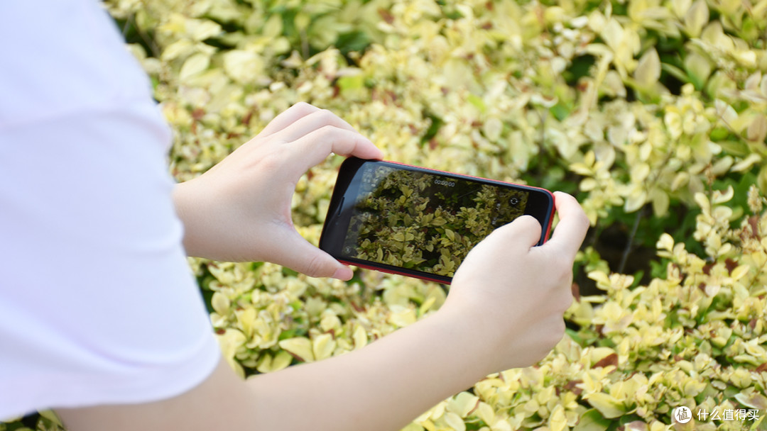 低门槛拥抱苹果生态 iPhone SE第二代体验报告