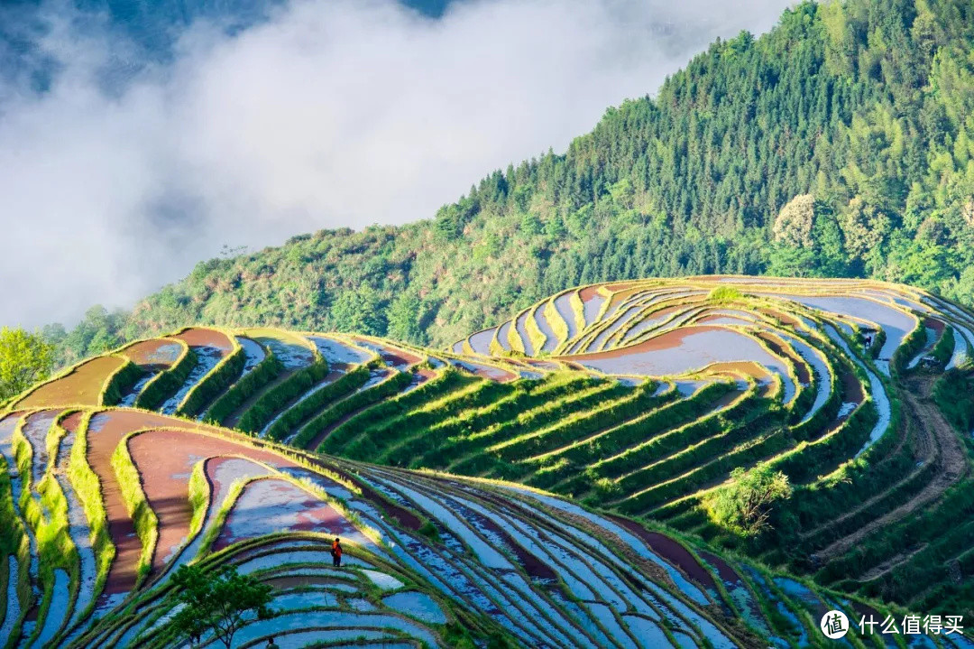 吃货到了桂林，不看山水只嗦粉