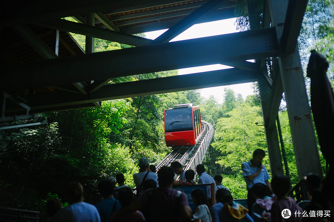 南山竹海