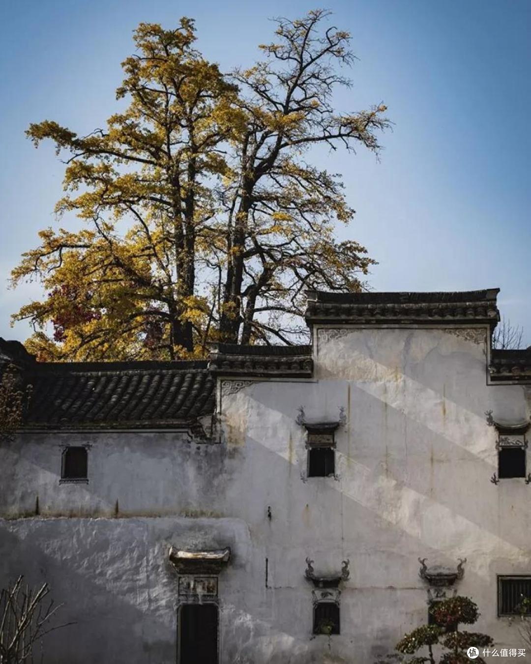 盛夏,你可以去临安小住一月