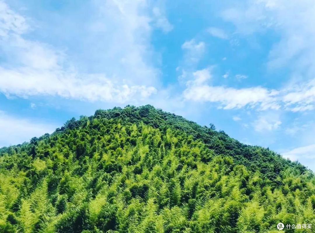 盛夏,你可以去临安小住一月