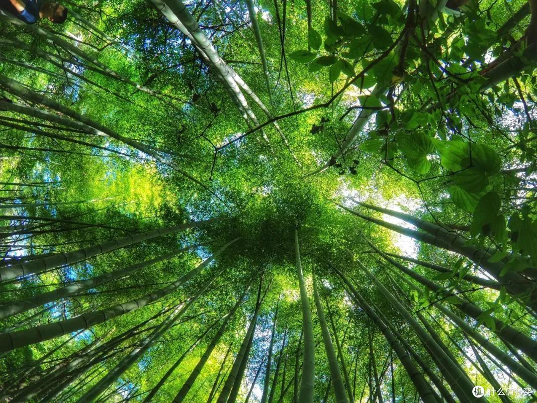 盛夏,你可以去临安小住一月