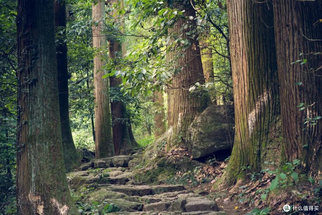 盛夏,你可以去临安小住一月