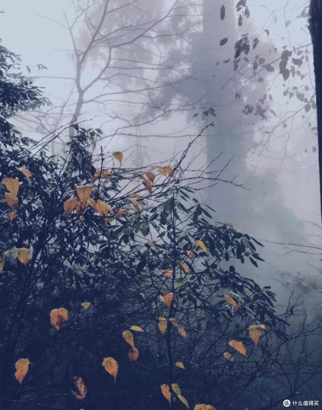 盛夏,你可以去临安小住一月