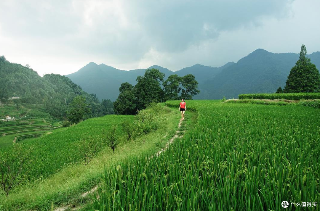盛夏,你可以去临安小住一月