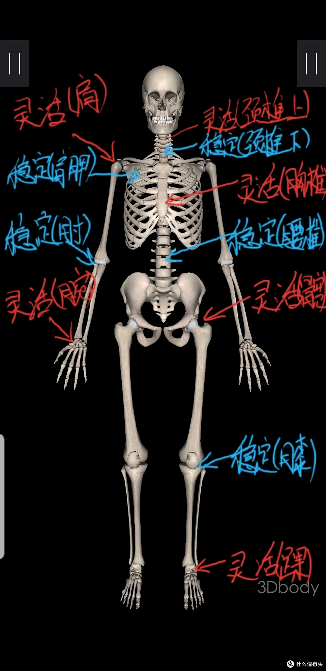 为了防止运动受伤,我们应该做这样更高效的运动前热身