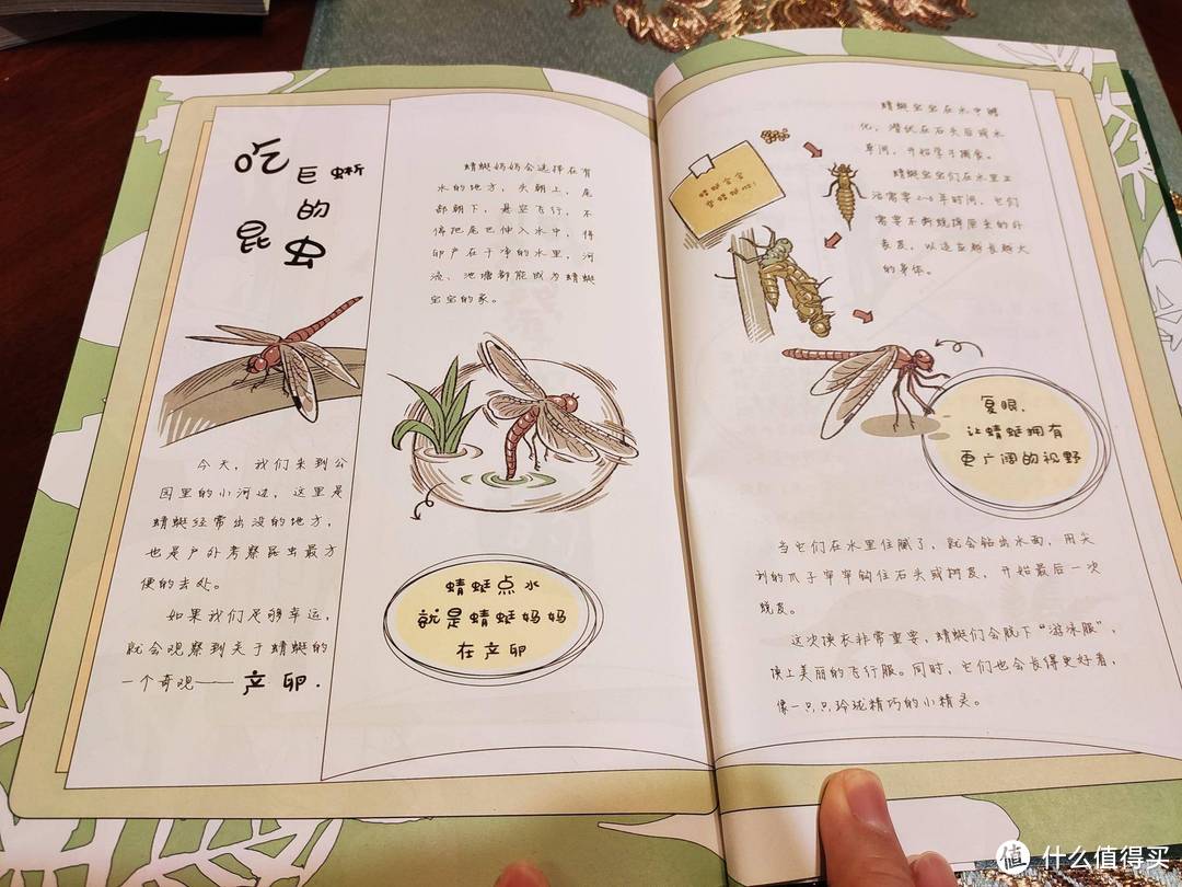 与孩子一起阅读凯叔讲故事之神奇图书馆：昆虫特战队