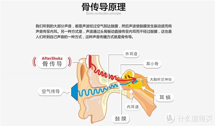 精细化的进阶，AfterShokz韶音AS800骨传导蓝牙耳机