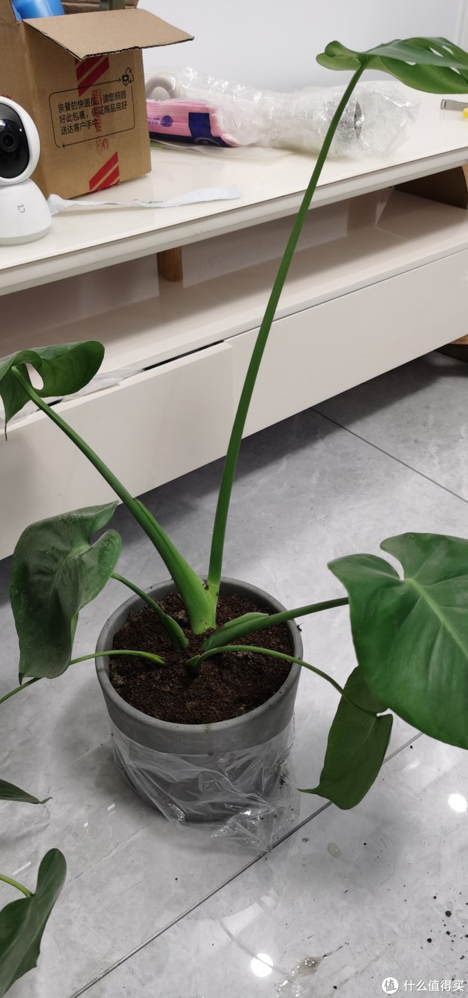 宜家折扣商品大赏,快来看看有没有你需要的东东!
