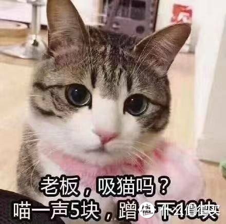 铲屎官省钱攻略，高性价比吸猫有绝招~