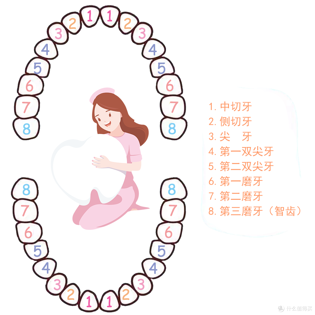 【正畸科普】牙医到底在说什么?