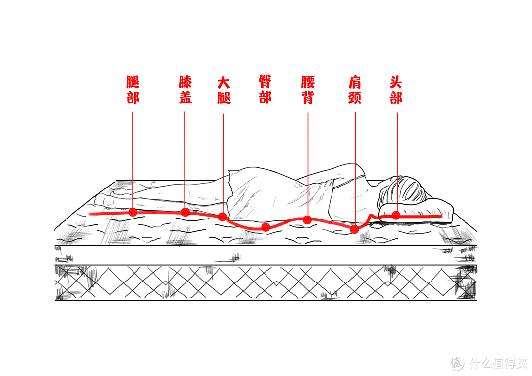 床垫还分三区？五区？七区？分区床垫究竟是不是智商税？