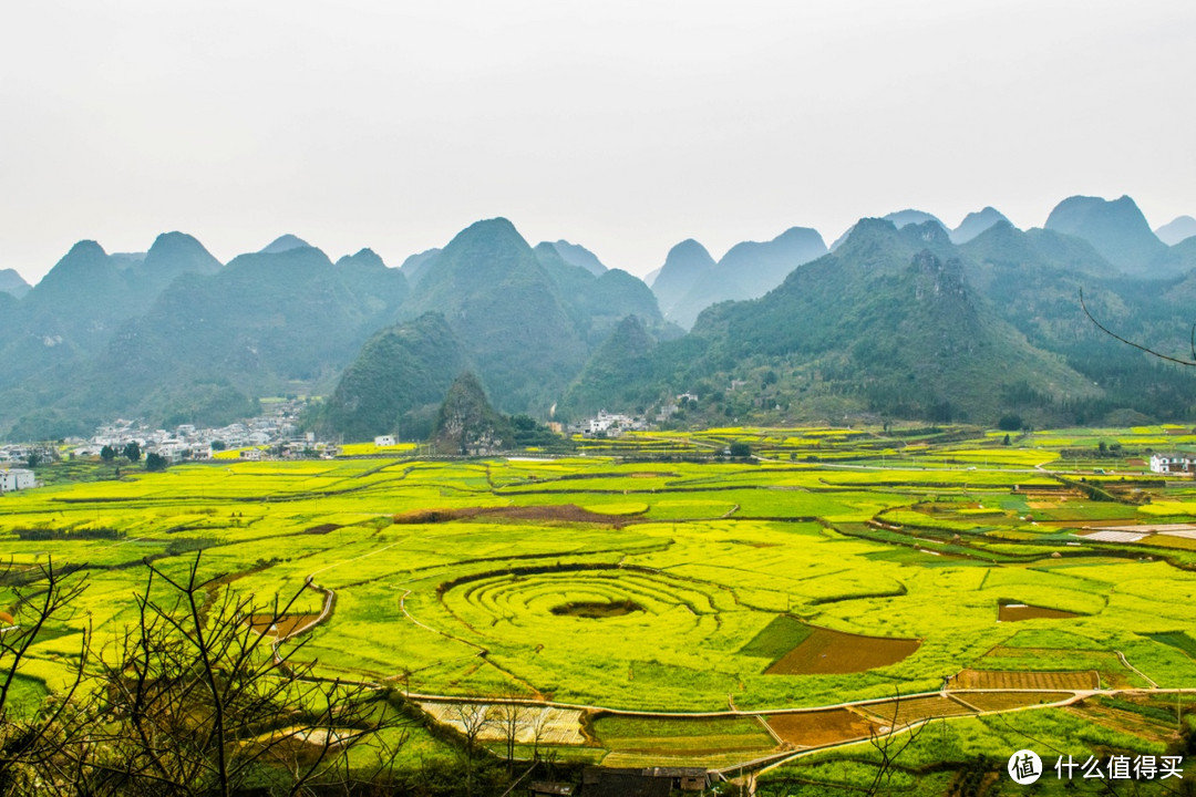 追寻冬日阳光-西双版纳、罗平金鸡峰丛、万峰林9日之旅