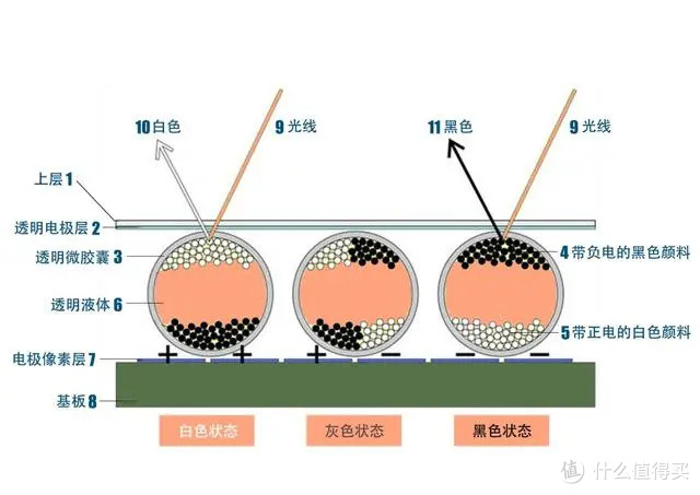 海信的新平板Q5 终于来了，它能颠覆电纸书吗？