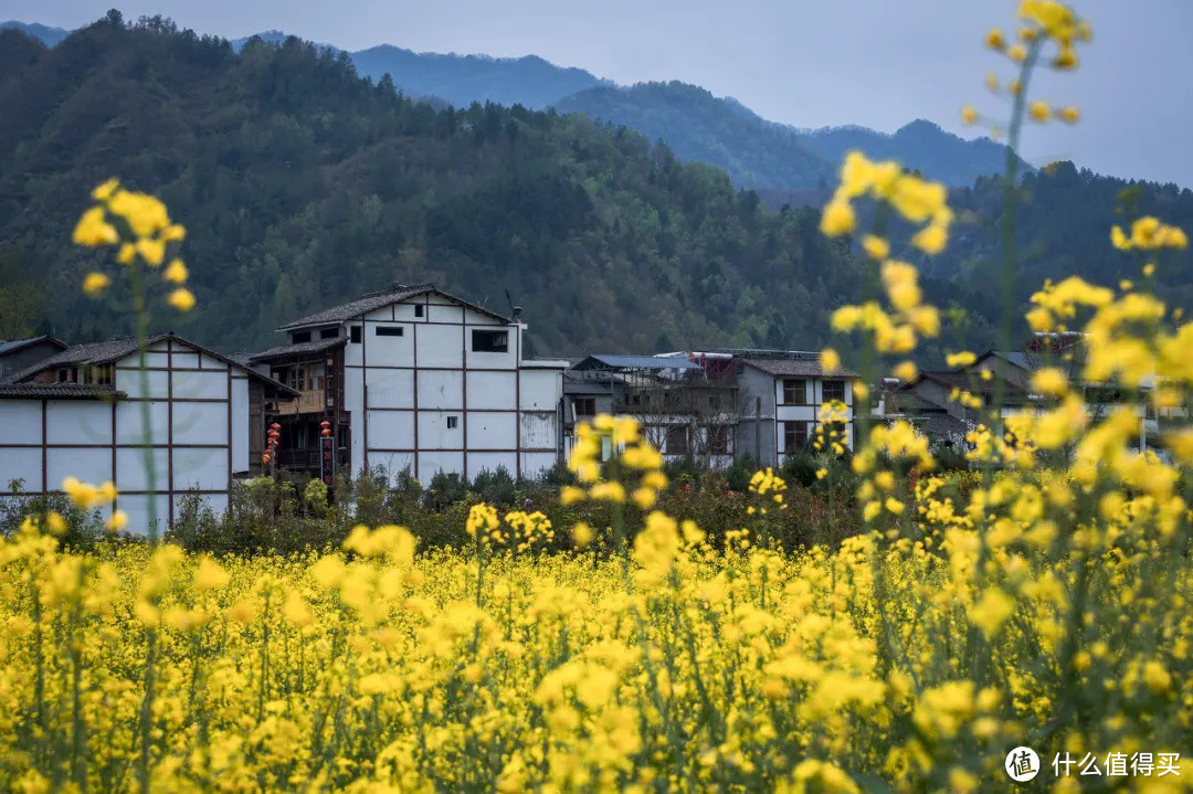 西北五省当之无愧的“小江南”，就是这里了