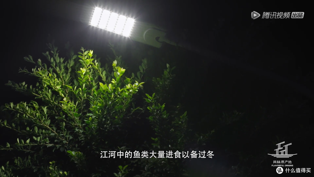 夏日观影,除了动作电影,还有好看又涨知识的国产高分纪录片可以看(有观影地址,记得收藏)