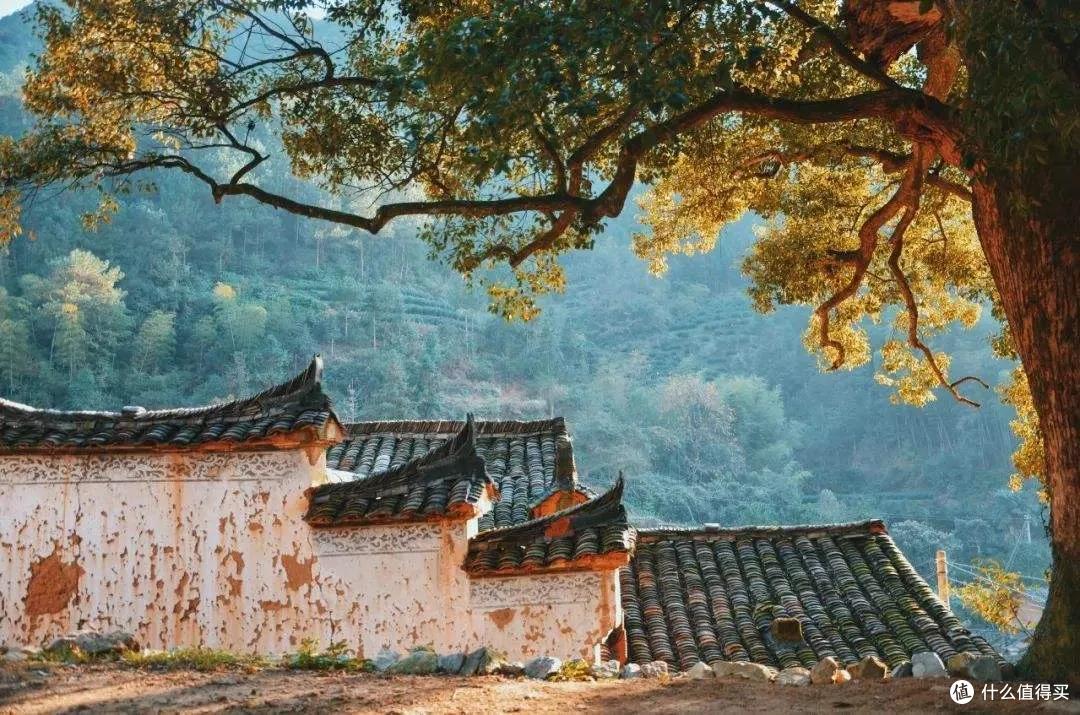 它,注定属于少数人的心头好